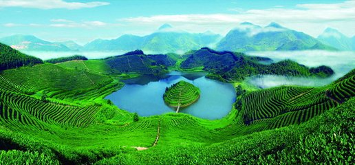 1546823395405172.jpg 1.jpg