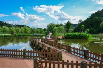 1546825537380010.jpg 1.jpg