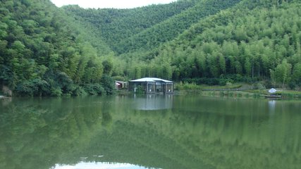 1546825973984230.jpg 1.jpg