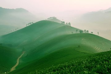 1546825981721532.jpg 2.jpg