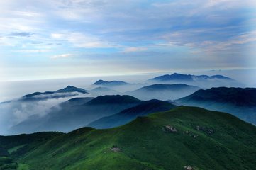 1546826178365739.jpg 2.jpg