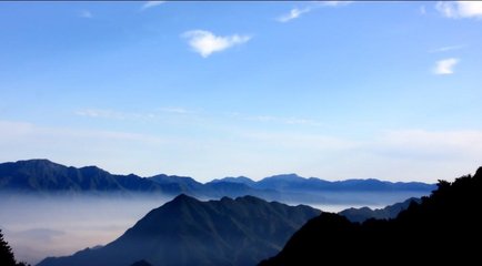 1546826304100916.jpg 2.jpg