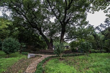 1546827044310886.jpg 1.jpg