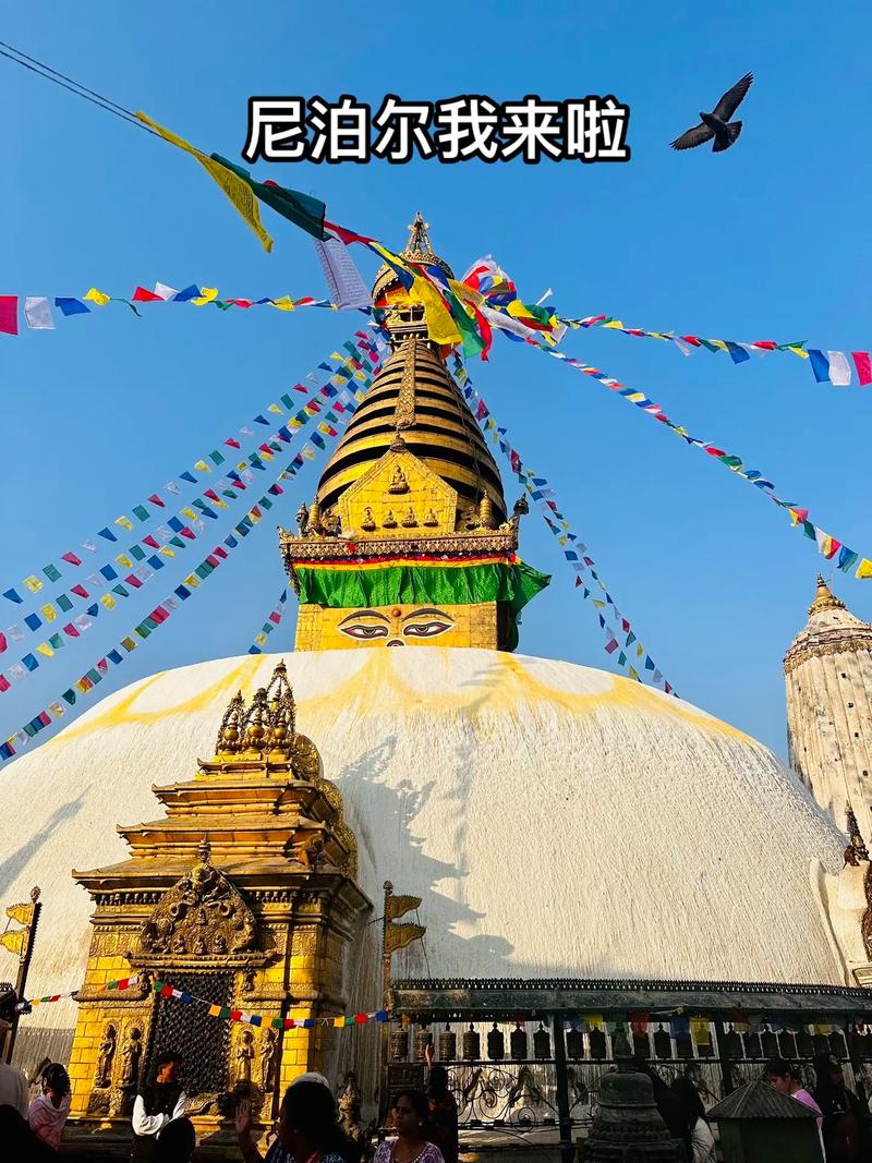 1755129650541200.jpeg 尼泊爾語翻譯.jpeg